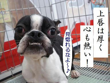 DSC03268.JPG