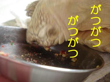 DSC03438.JPG
