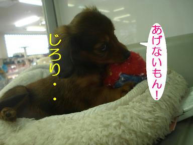 DSC03519.JPG