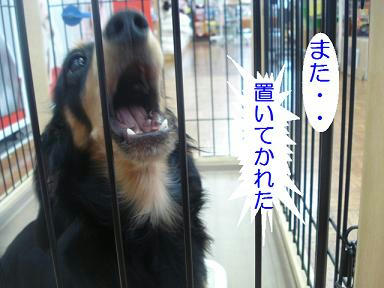 DSC03660.JPG
