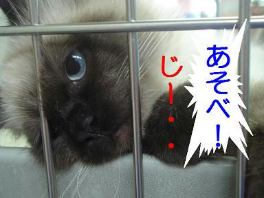 DSC03737.JPG