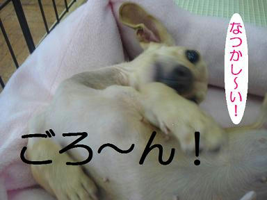 DSC03827.JPG