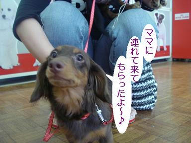 DSC03849.JPG