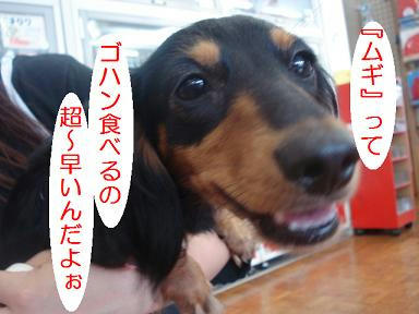 DSC03853.JPG