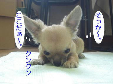 DSC04776.JPG