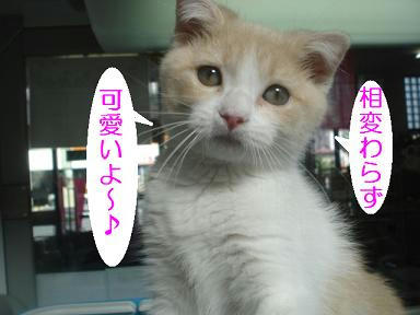 DSC05968.JPG