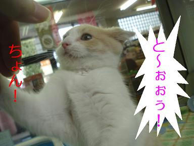 DSC05983.JPG
