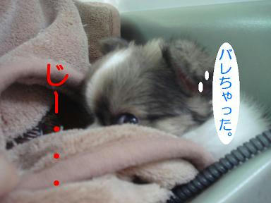 DSC06032.JPG