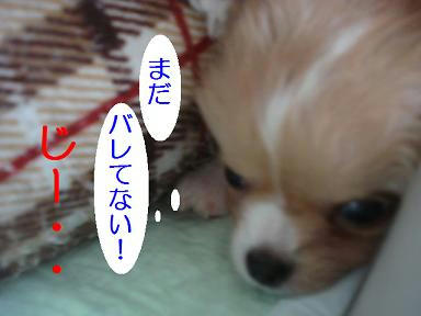 DSC06063.JPG