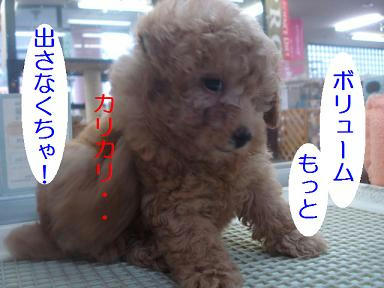 DSC06111.JPG