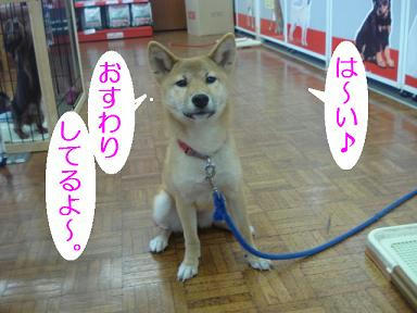 DSC06130.JPG