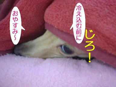 DSC06155.JPG