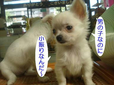DSC06262.JPG