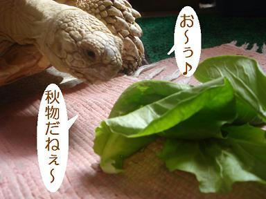 DSC06306.JPG