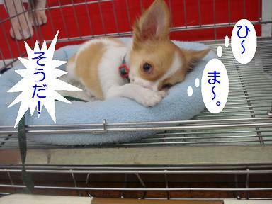 DSC06385.JPG