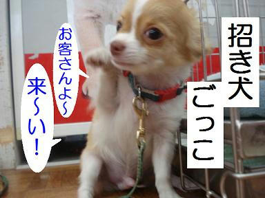 DSC06393.JPG