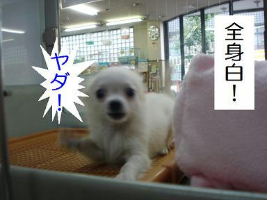 DSC06602.JPG