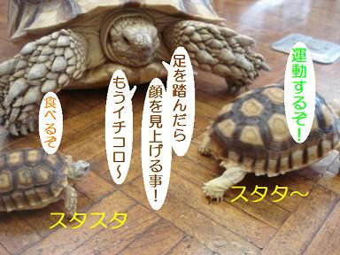 DSC06840.JPG