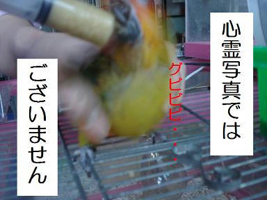 DSC07022.JPG
