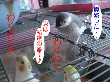 DSC07019.JPG