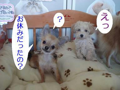 DSC06944.JPG