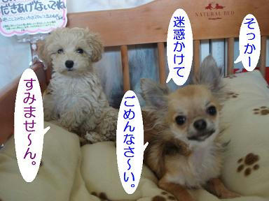 DSC06948.JPG