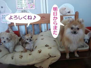 DSC06946.JPG
