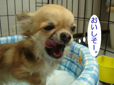 DSC07133.JPG