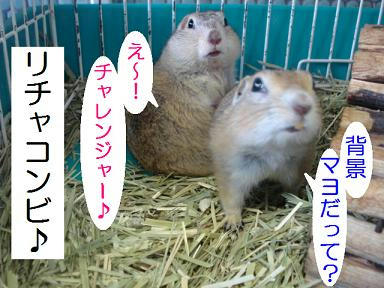 DSC07113.JPG