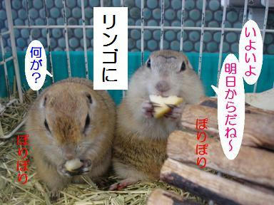 DSC07315.JPG