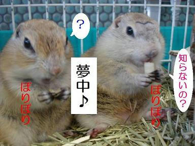 DSC07318.JPG