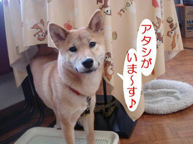 DSC07376.JPG