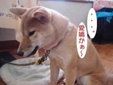 DSC07357.JPG