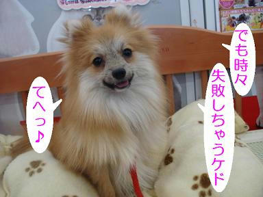 DSC07408.JPG