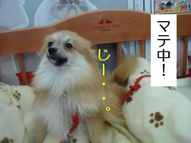 DSC07420.JPG