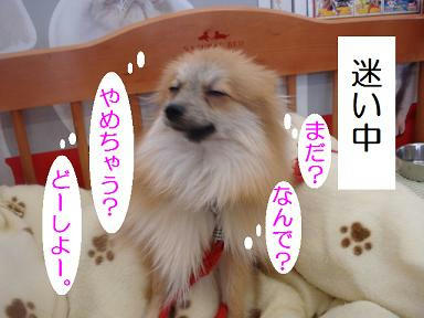 DSC07422.JPG