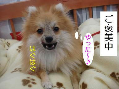 DSC07414.JPG