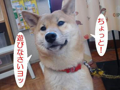 DSC07961.JPG