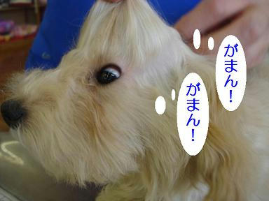 DSC08423.JPG