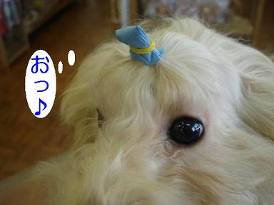 DSC08433.JPG