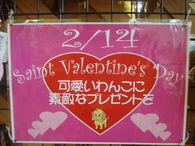 DSC08617.JPG