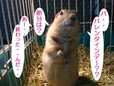 DSC08620.JPG