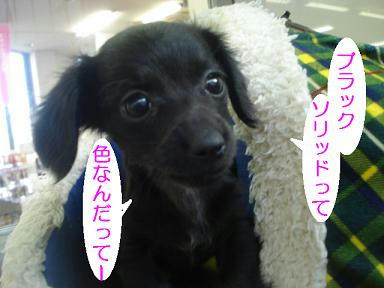 DSC08577.JPG