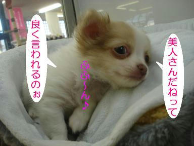 DSC08626.JPG