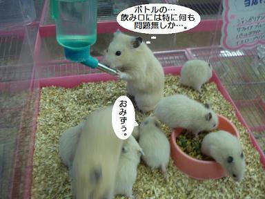 b0bc4402.jpeg
