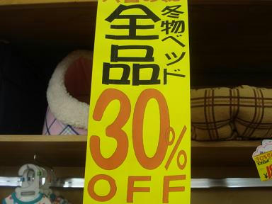DSC08687.JPG