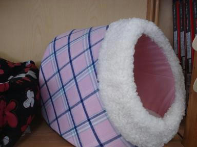 DSC08691.JPG