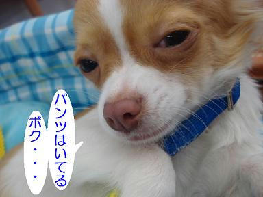 DSC08825.JPG