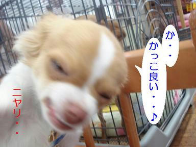 DSC08821.JPG