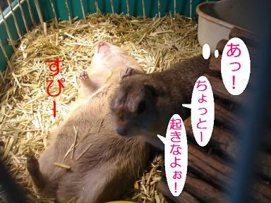 DSC08956.JPG